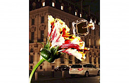 Perfume with Flower by Michel Haddi