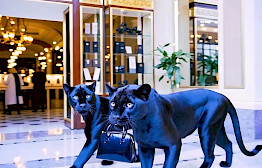 Panther And The Bag by Michel Haddi