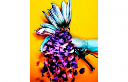 Explosion of Flowers by Michel Haddi