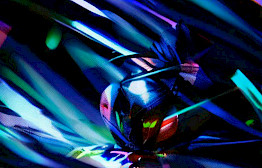 Video 40 by Michel Haddi