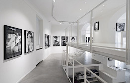 Shows by Michel Haddi